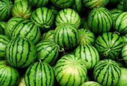 今日吃瓜每日必吃,每日必吃，揭秘娱乐圈新鲜事